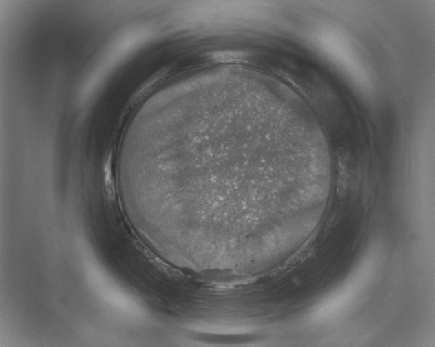 X0000068841198200606021700