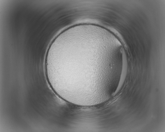 X0000068841199200606021700