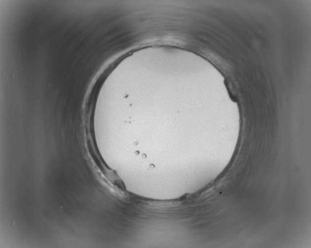 X0000068841200200606021700