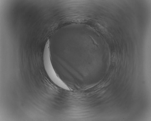 X0000068841202200606021700