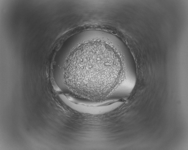 X0000068841206200606021700