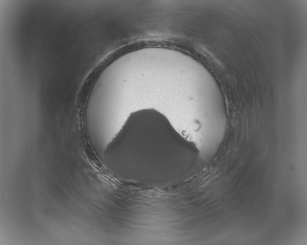 X0000068841208200606021700