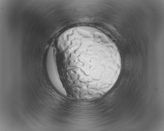 X0000068841209200606021700