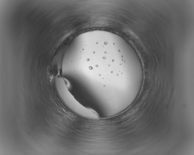 X0000068841210200606021700