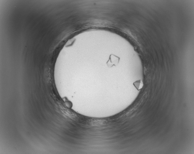 X0000068841211200606021700