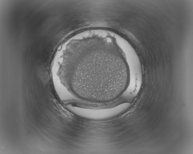 X0000068841212200606021700