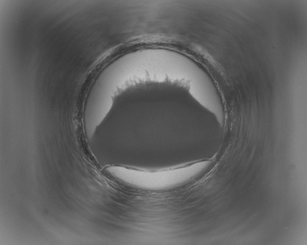 X0000068841213200606021700