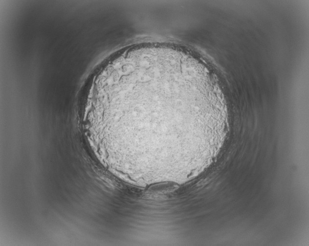 X0000068841215200606021700