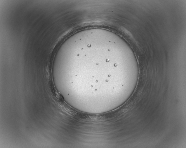 X0000068841218200606021700