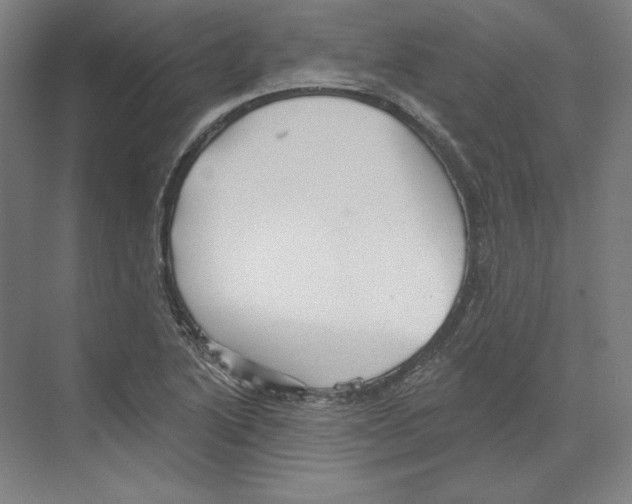 X0000068841222200606021700