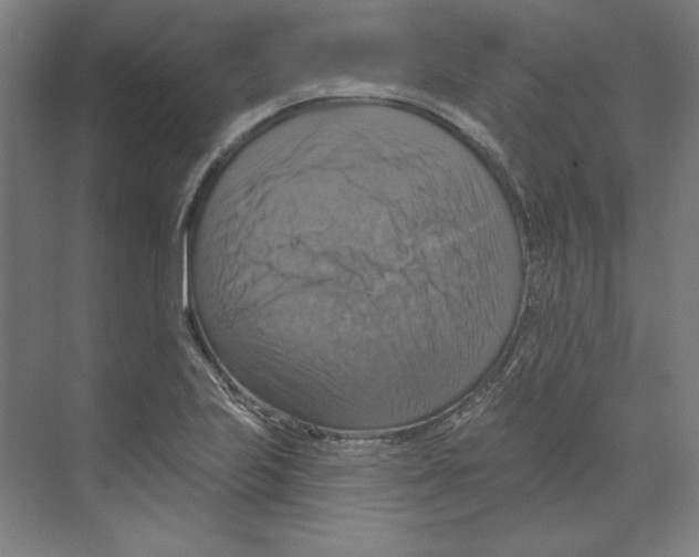 X0000068841223200606021700