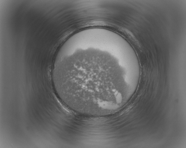 X0000068841225200606021700