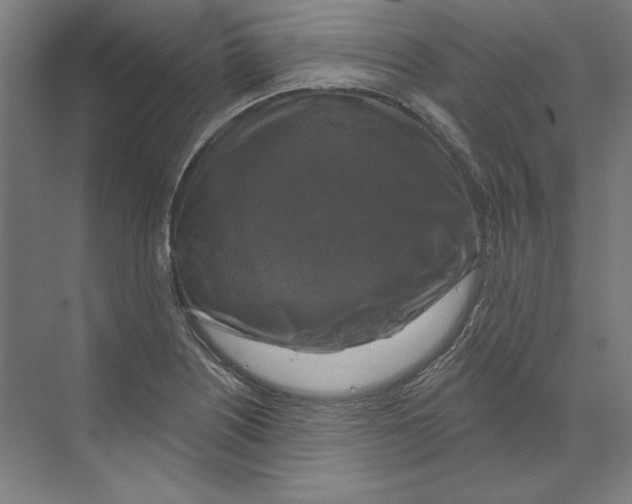 X0000068841226200606021700