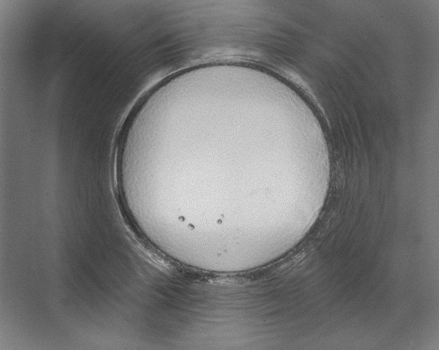 X0000068841227200606021700