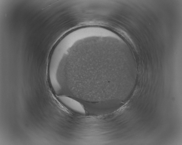 X0000068841228200606021700