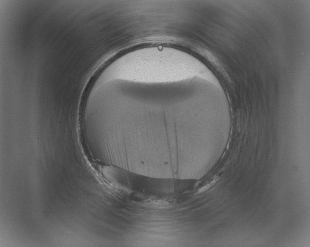 X0000068841229200606021700