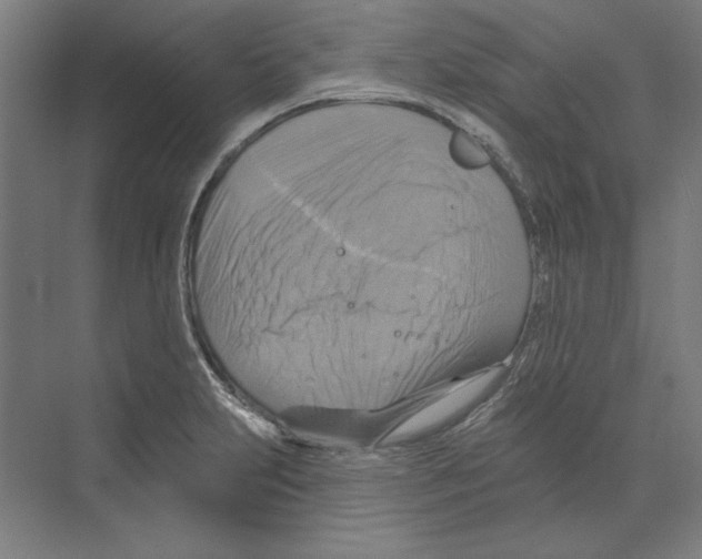 X0000068841231200606021700