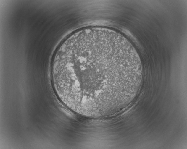 X0000068841232200606021700