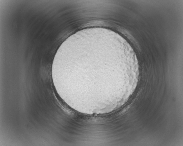 X0000068841233200606021700