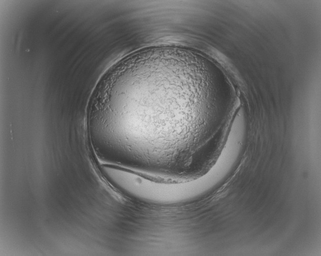 X0000068841234200606021700