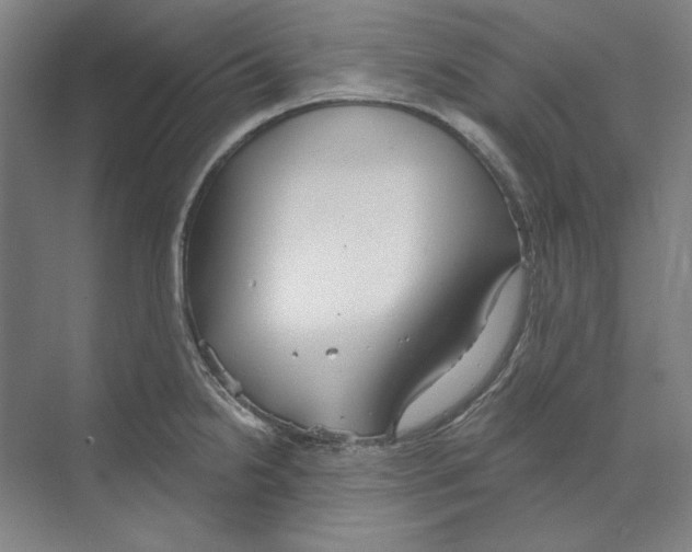 X0000068841238200606021700