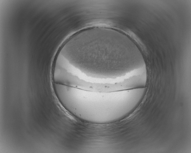 X0000068841240200606021700