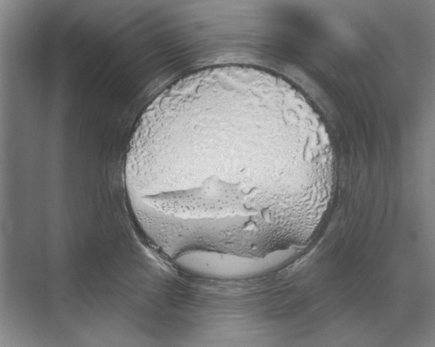 X0000068841241200606021700