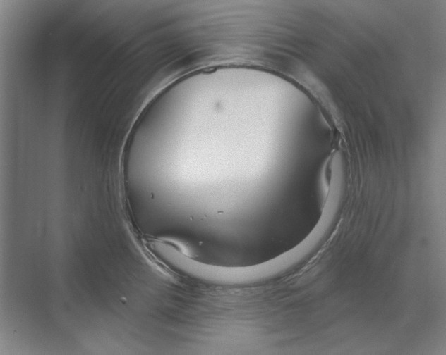 X0000068841242200606021700