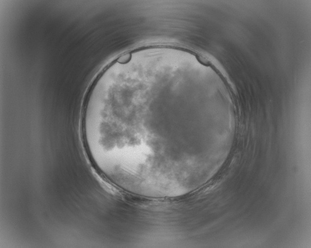 X0000068841245200606021700