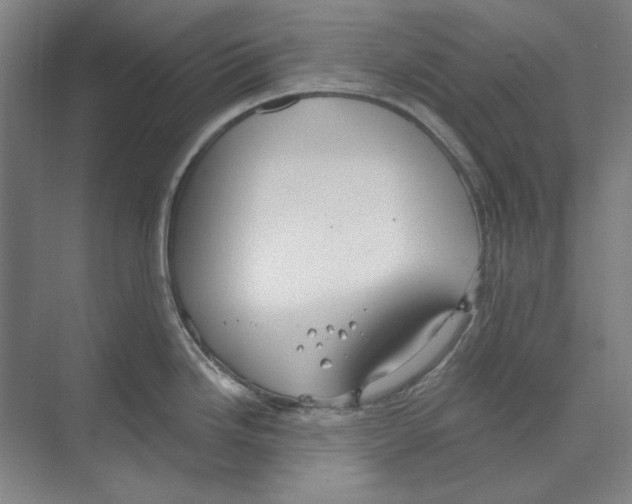 X0000068841246200606021700