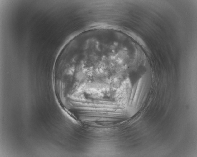 X0000068841247200606021700