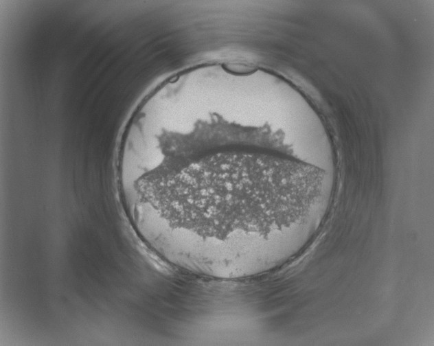 X0000068841248200606021700