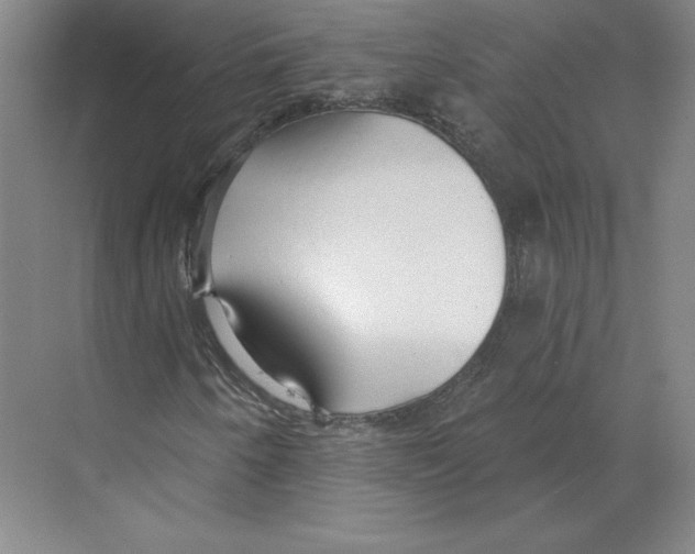 X0000068841250200606021700