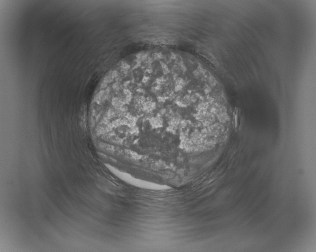 X0000068841251200606021700