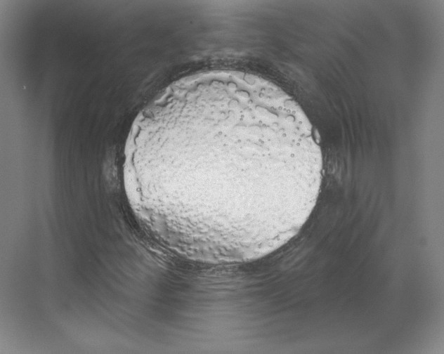 X0000068841252200606021700