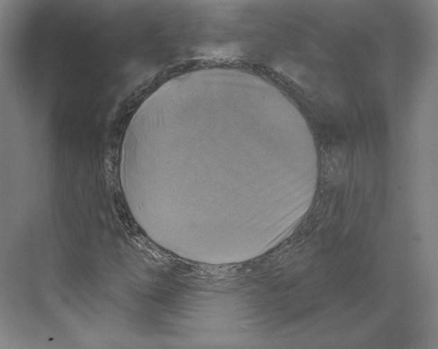 X0000068841254200606021659