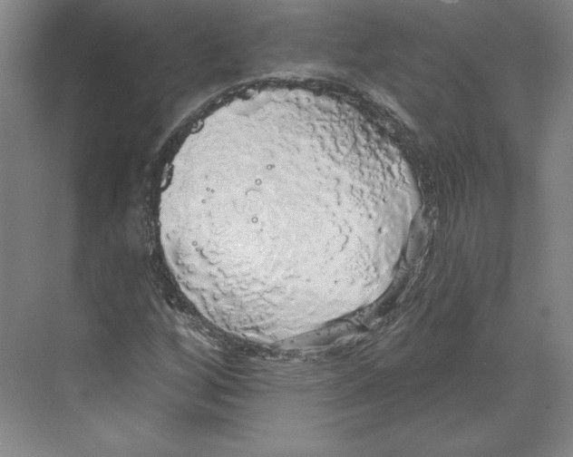 X0000068841256200606021659