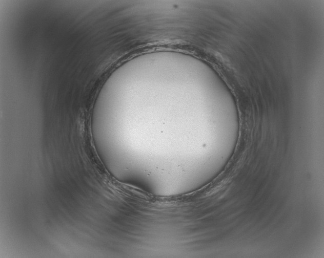 X0000068841257200606021659