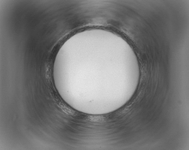 X0000068841258200606021659