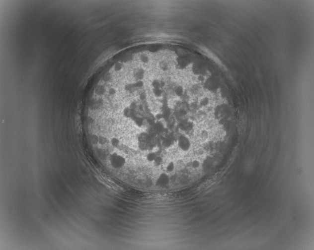 X0000068841259200606021659