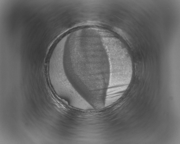 X0000068841260200606021659