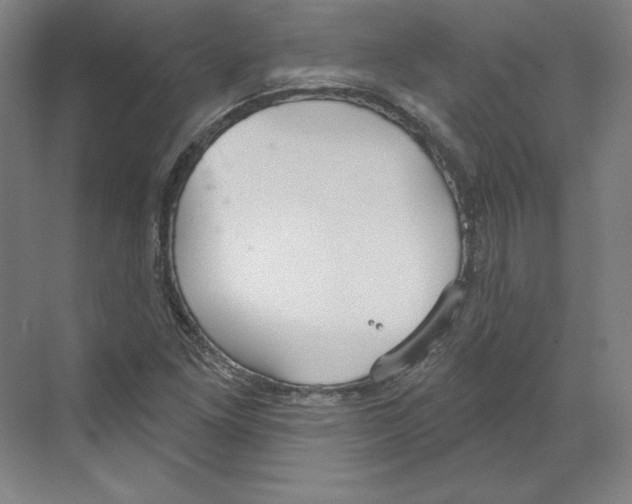 X0000068841261200606021659