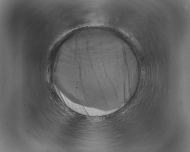 X0000068841262200606021659