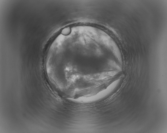 X0000068841263200606021659