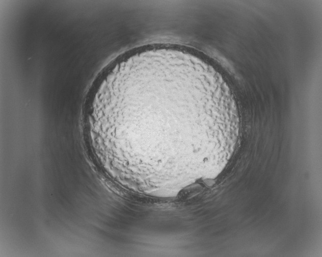 X0000068841264200606021659