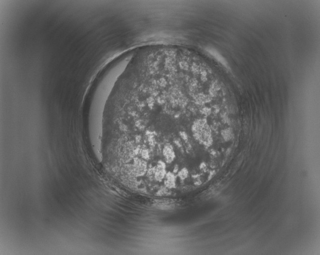 X0000068841267200606021659