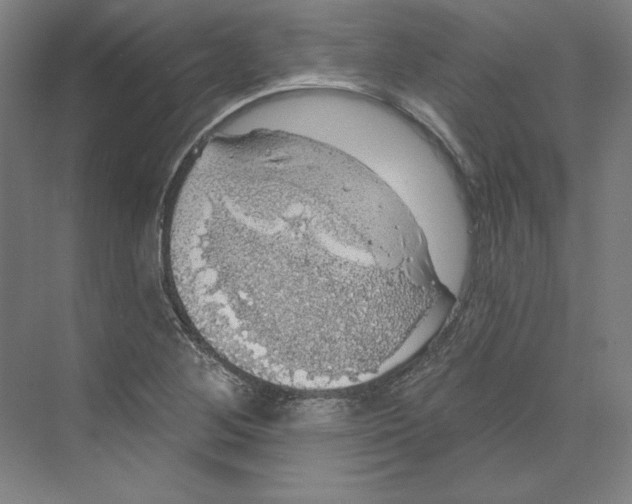 X0000068841268200606021659