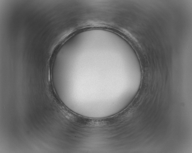 X0000068841269200606021659