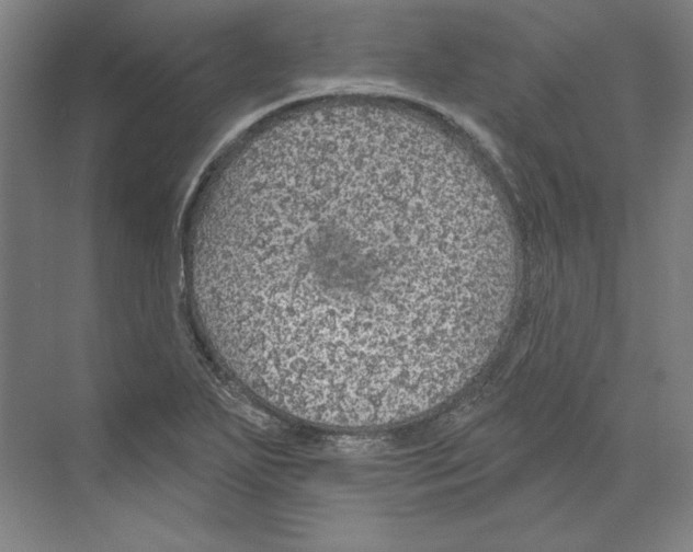 X0000068841271200606021659