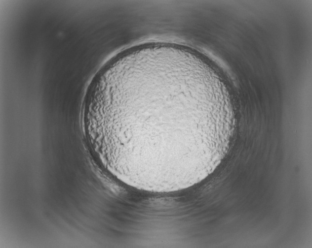 X0000068841272200606021659